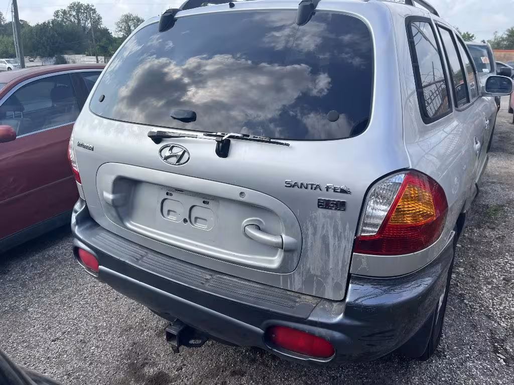 2004 Hyundai Santa Fe - KM8SC13E44U793438 - Image #2
