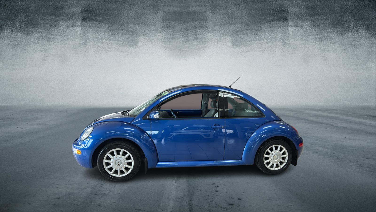 2004 Volkswagen New Beetle - 3VWCK31C54M409631 - Image #2