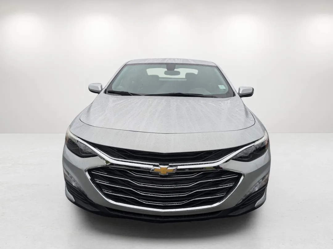 2019 Chevrolet Malibu - 1G1ZD5ST1KF104795 - Image #2